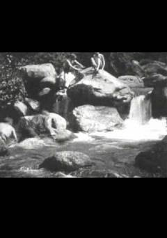 The Fisherman at the Stream