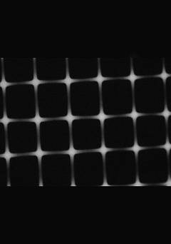 Flyscreen - fandor
