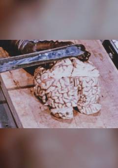 Her Heart is Washed in Water and Then Weighed - fandor