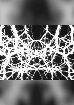 Black and White Trypps #2 - fandor