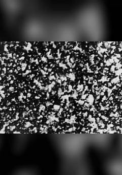 Black and White Trypps #1 - fandor