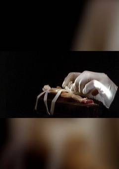 The Phantom Museum - fandor