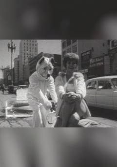 Sincerely, Joe P. Bear - fandor