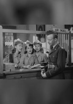 Dear Arabella - fandor
