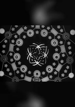 Floral Frameworks - fandor