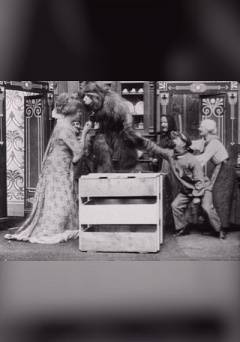 The Monkey Race - fandor