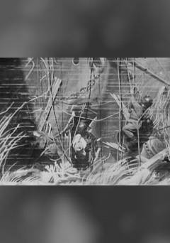Divers at Work on the Wreck of the "Maine" - fandor