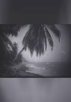 Bali: Paradise Isle - fandor