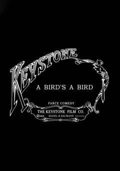 A Bird