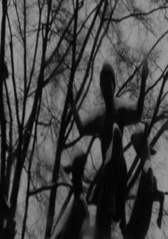 Drift and Bough - fandor