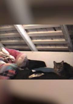 Letters to Jay - fandor