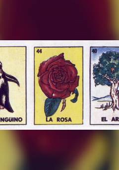 la rosa - fandor