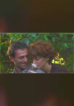 Maisys Garden - fandor