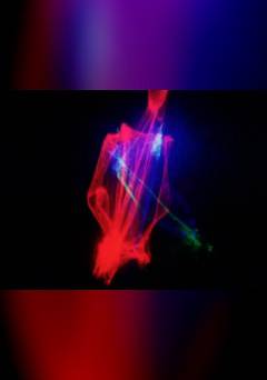 On the Feasibility of Light Amplification - fandor
