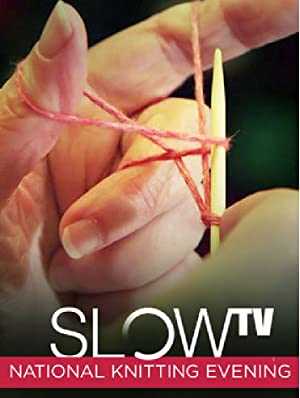 Slow TV: National Knitting Evening - netflix