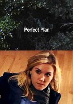 Perfect Plan