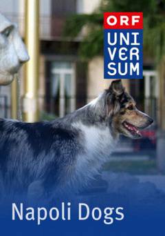 Napoli Dogs - amazon prime