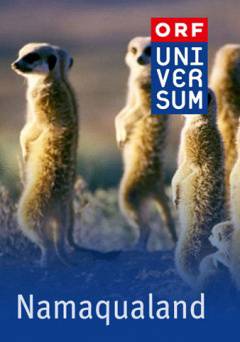 Namaqualand - amazon prime