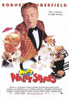 Meet Wally Sparks - Movie