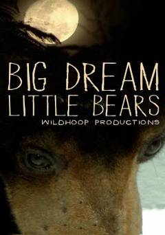 Big Dream Little Bears