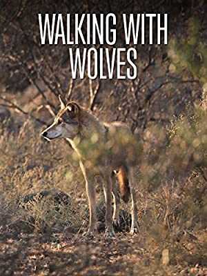 Walking with Wolves - amazon prime