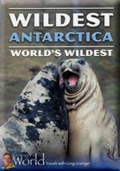 Wildest Antarctica - amazon prime