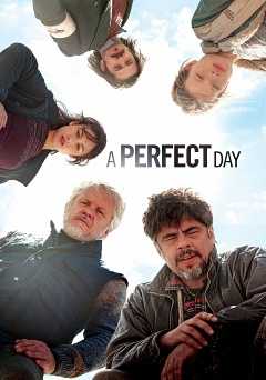 A perfect day