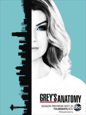 Greys Anatomy - TV Series