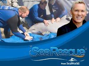 Sea Rescue - Amazon Prime