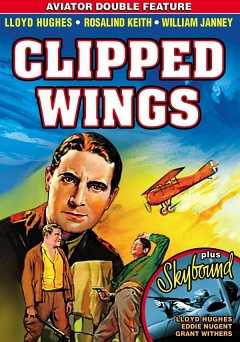 Clipped Wings