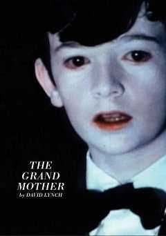 The Grandmother - film struck