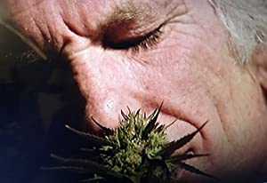 Inside: Medical Marijuana - netflix