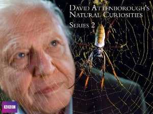 David Attenborough