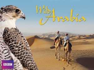 Wild Arabia - netflix