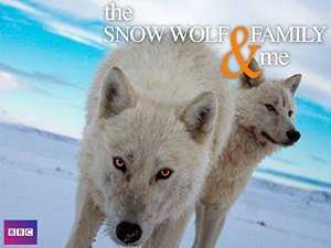 Snow Wolf Family and Me