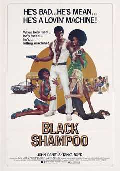 Black Shampoo