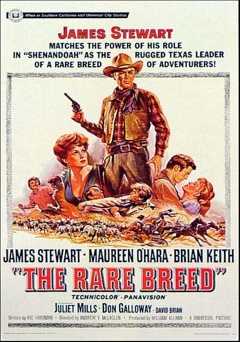 The Rare Breed - Movie