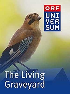 The Living Graveyard - amazon prime