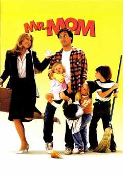 Mr. Mom