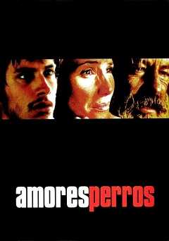 Amores Perros - netflix