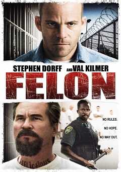 Felon - netflix