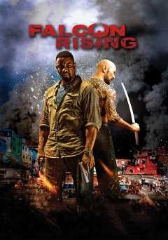 Falcon Rising - netflix