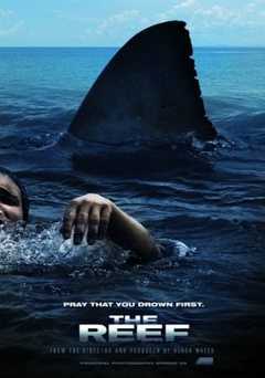 The Reef - netflix