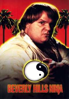 Beverly Hills Ninja