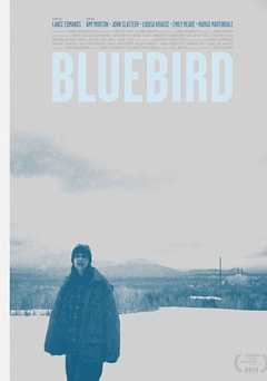 Bluebird