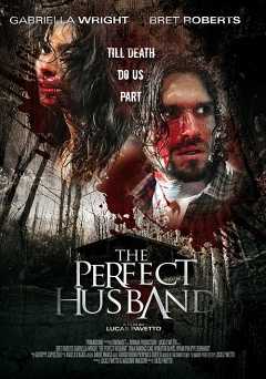 The Perfect Husband - Movie