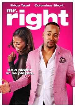 Mr. Right - Movie