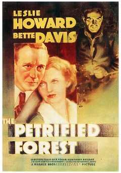 The Petrified Forest