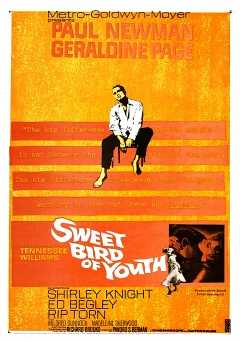 Sweet Bird of Youth - Movie