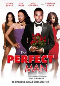 The Perfect Man - Movie